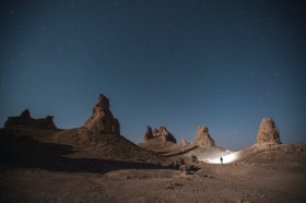 城市人借草木山川抒情寄情，情感出口悄然转向自然与传统